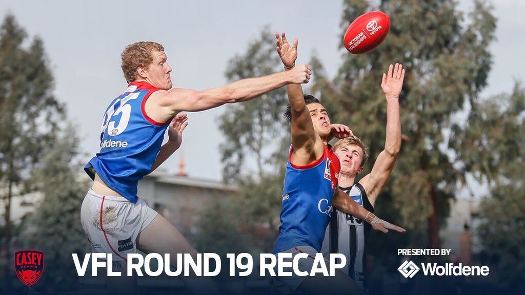 190812_VFL_Round19Recap.jpg